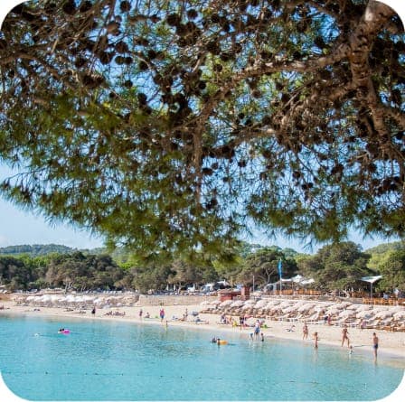 CALA BASSA